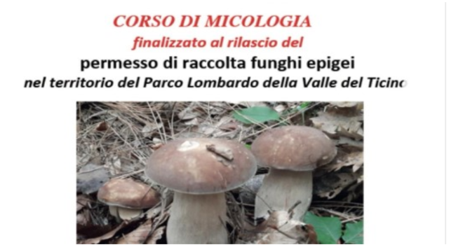 Corso di micologia finalizzato al rilascio del permesso di raccolta funghi epigei 