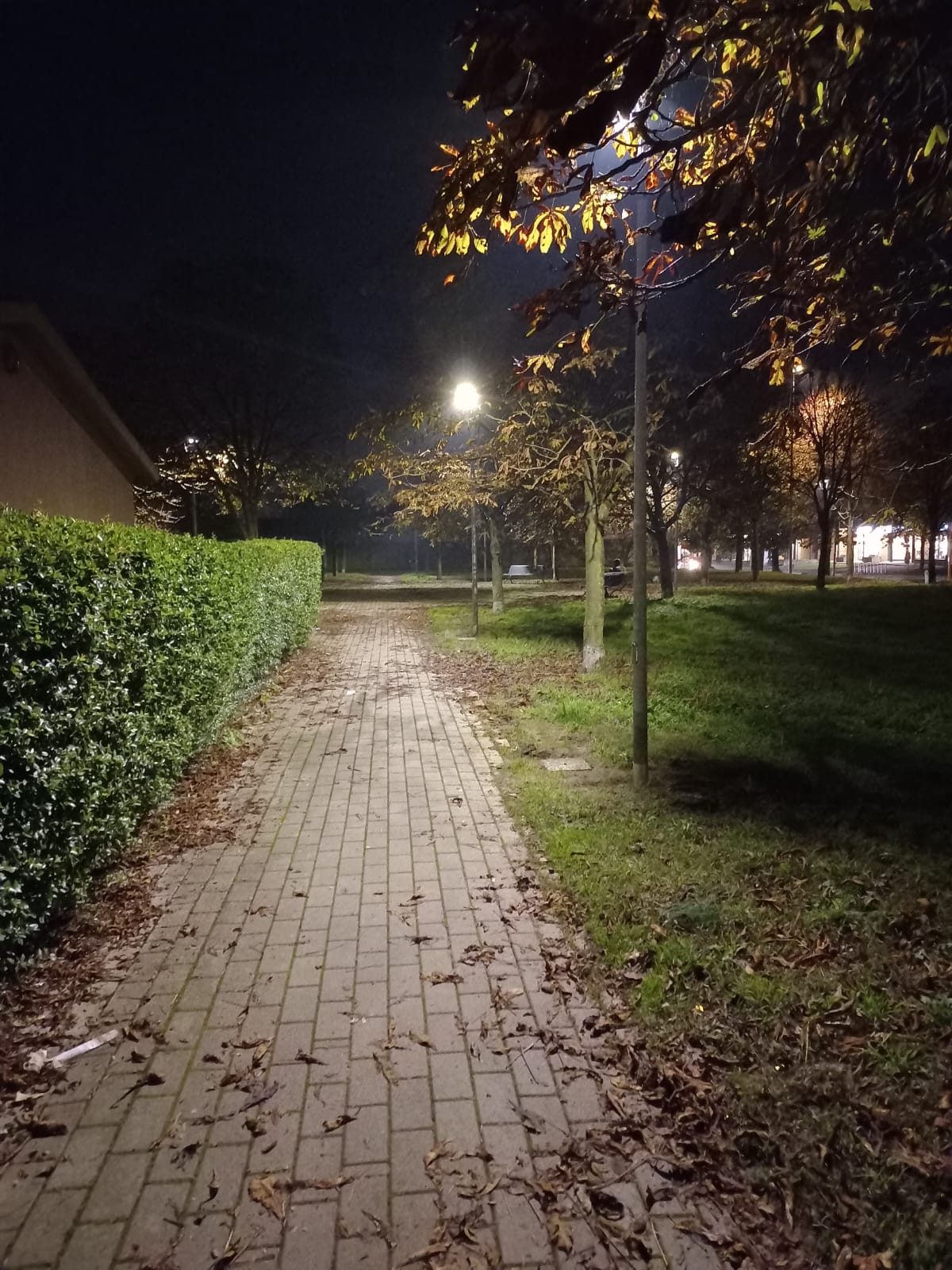 Nuove luci al Parco Cacciatori e lungo la ciclabile per Cassinetta